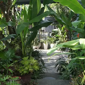 Sunny Garden Homestay Hoi An